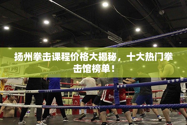 扬州拳击课程价格大揭秘,十大热门拳击馆榜单!