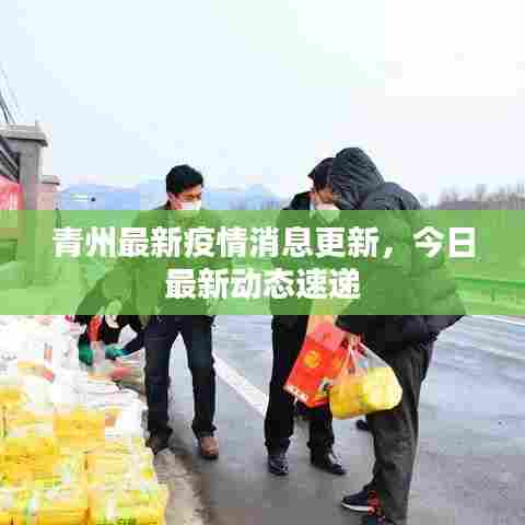 青州最新疫情消息更新,今日最新动态速递