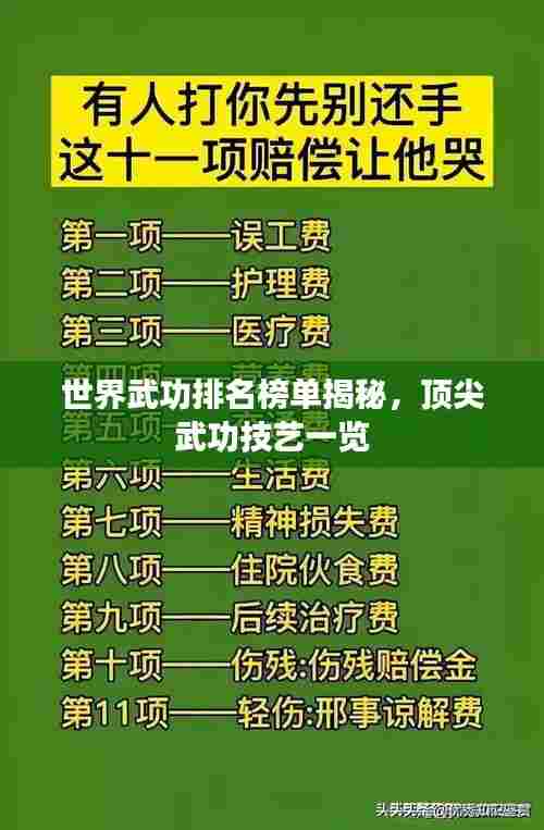 世界武功排名榜单揭秘,顶尖武功技艺一览