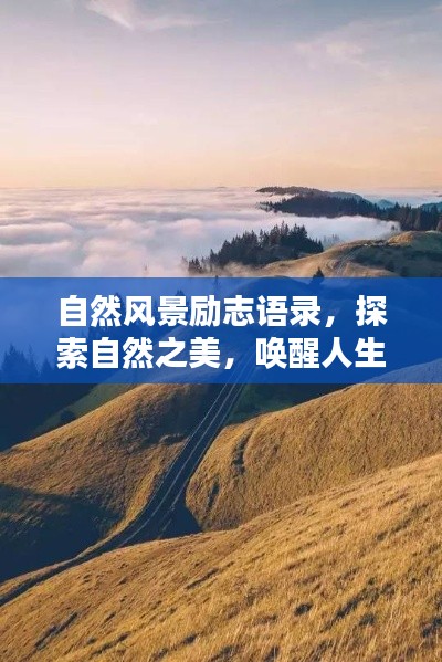 自然风景励志语录,探索自然之美,唤醒人生力量潜能!