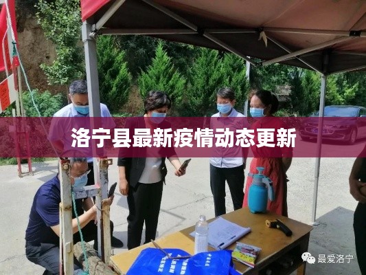 洛宁县最新疫情动态更新