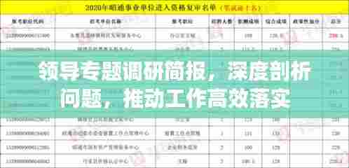 领导专题调研简报，深度剖析问题，推动工作高效落实