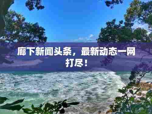 廊下新闻头条,最新动态一网打尽!