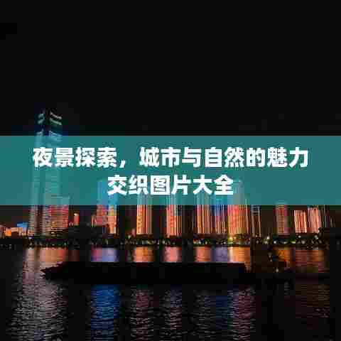 夜景探索,城市与自然的魅力交织图片大全