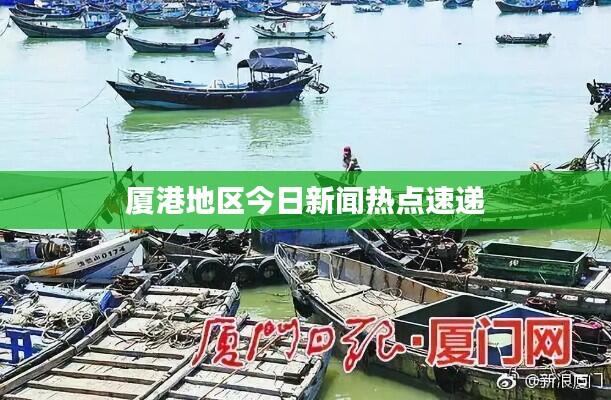 厦港地区今日新闻热点速递