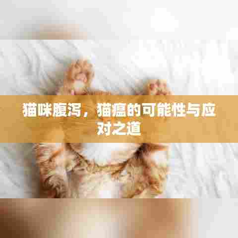 猫咪腹泻,猫瘟的可能性与应对之道