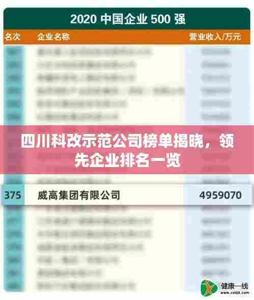 四川科改示范公司榜单揭晓,领先企业排名一览