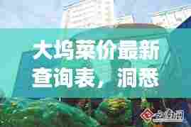 大坞菜价最新查询表,洞悉市场动态,掌握生活成本信息