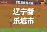 辽宁新乐城市发展新动态，民生脉搏与头条新闻