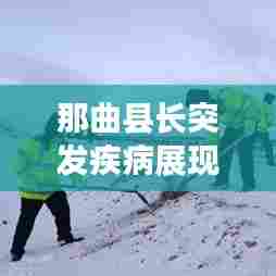 那曲县长突发疾病展现坚强领导力,逆境彰显领导风范