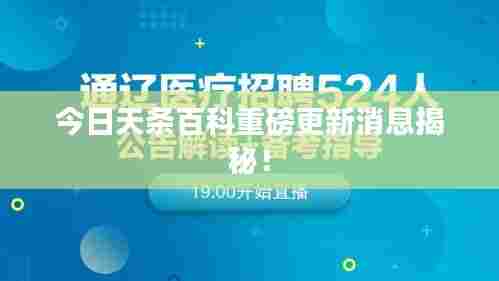 今日天条百科重磅更新消息揭秘!