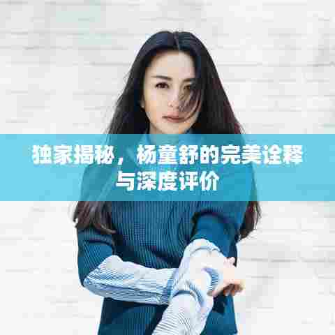 独家揭秘,杨童舒的完美诠释与深度评价
