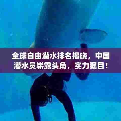 全球自由潜水排名揭晓,中国潜水员崭露头角,实力瞩目!
