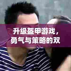 升级盔甲游戏，勇气与策略的双重探索之旅