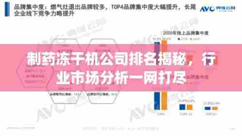 制药冻干机公司排名揭秘,行业市场分析一网打尽