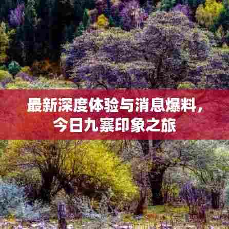 最新深度体验与消息爆料,今日九寨印象之旅