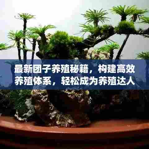 炙手可热 第7页