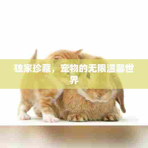 独家珍藏，宠物的无限温馨世界
