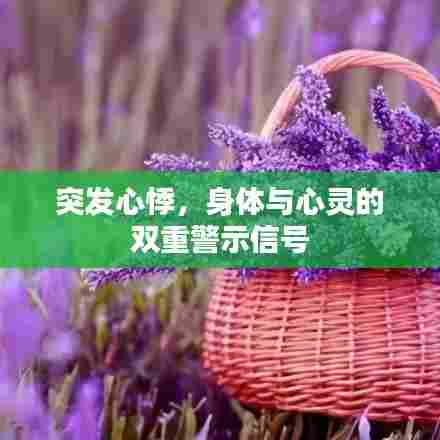 突发心悸,身体与心灵的双重警示信号