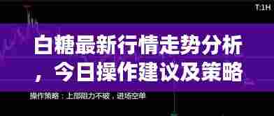 白糖最新行情走势分析,今日操作建议及策略解读