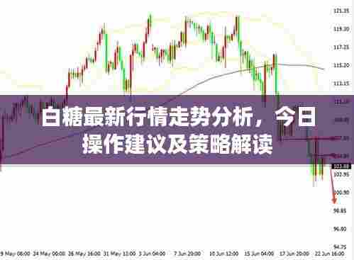 白糖最新行情走势分析,今日操作建议及策略解读