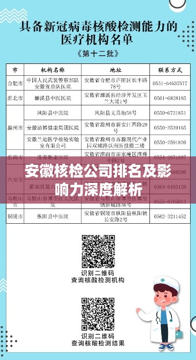 安徽核检公司排名及影响力深度解析