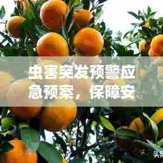 虫害突发预警应急预案,保障安全,防患于未然