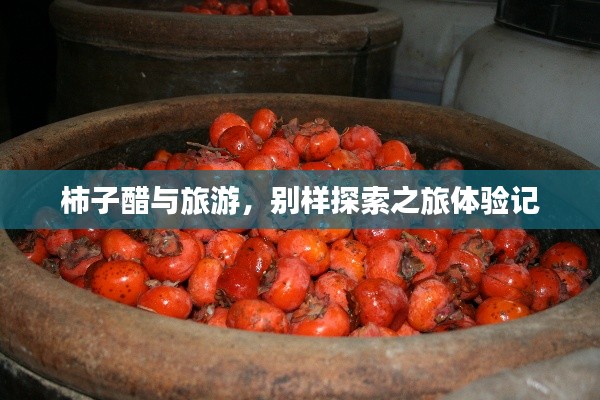柿子醋与旅游，别样探索之旅体验记