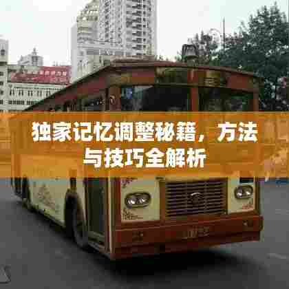 独家记忆调整秘籍,方法与技巧全解析