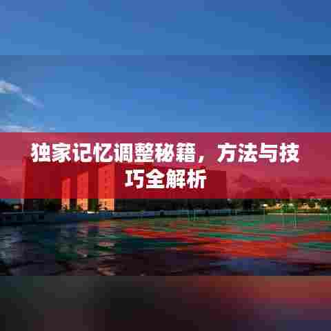 独家记忆调整秘籍,方法与技巧全解析
