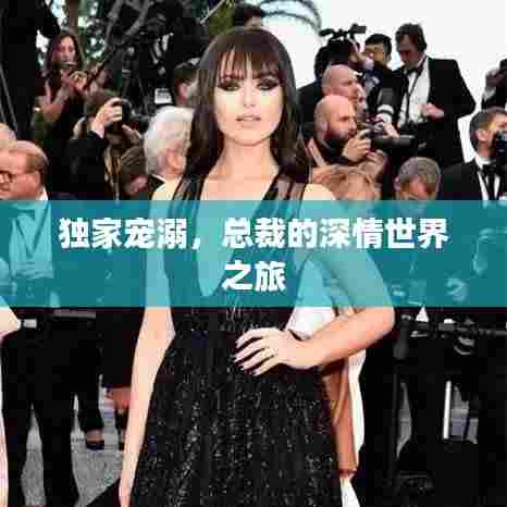 独家宠溺,总裁的深情世界之旅