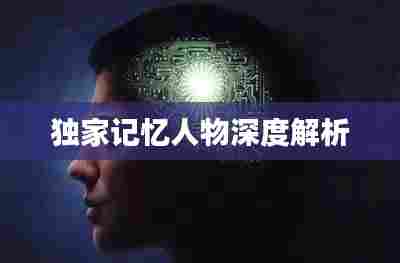 独家记忆人物深度解析