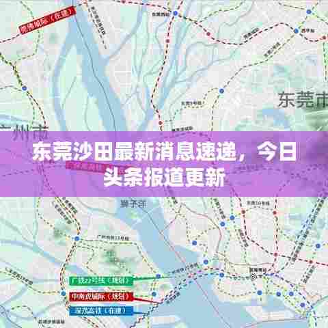 东莞沙田最新消息速递,今日头条报道更新