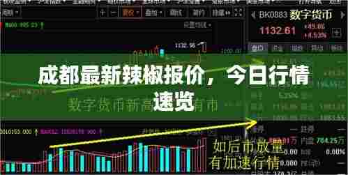 成都最新辣椒报价,今日行情速览