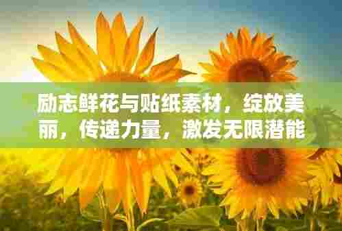 励志鲜花与贴纸素材,绽放美丽,传递力量,激发无限潜能
