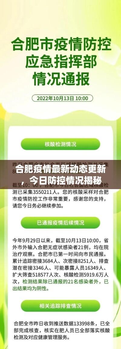 合肥疫情最新动态更新,今日防控情况揭秘