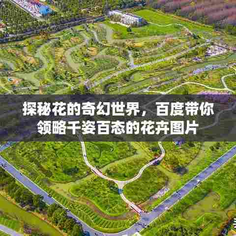探秘花的奇幻世界,百度带你领略千姿百态的花卉图片