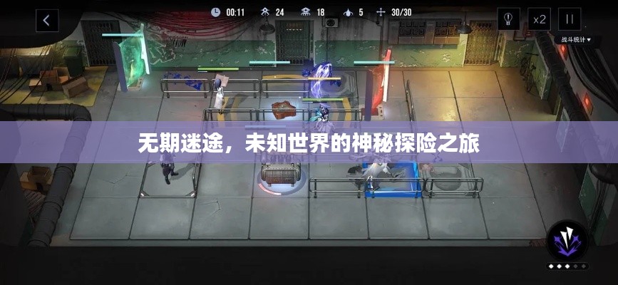 无期迷途，未知世界的神秘探险之旅