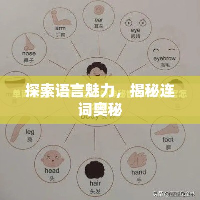 探索语言魅力,揭秘连词奥秘