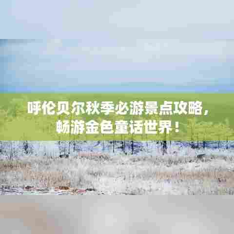 呼伦贝尔秋季必游景点攻略,畅游金色童话世界!