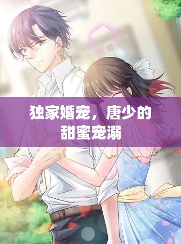 独家婚宠,唐少的甜蜜宠溺