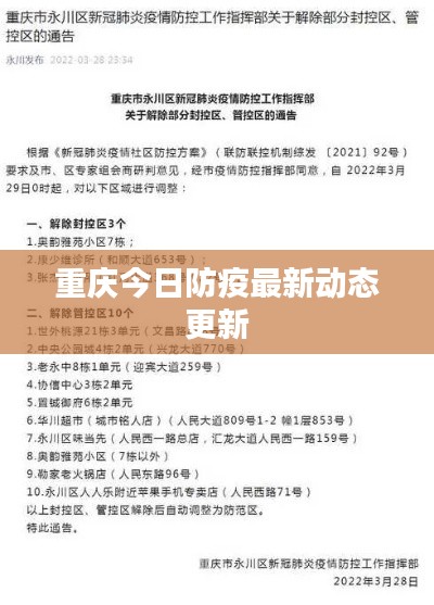 重庆今日防疫最新动态更新