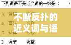 不断反扑的近义词与语言运用技巧解析