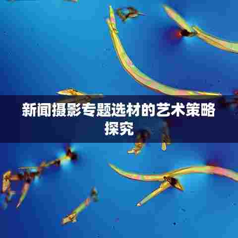 新闻摄影专题选材的艺术策略探究
