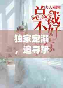 独家宠溺，追寻挚爱，老婆别跑！