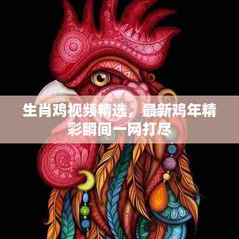 生肖鸡视频精选,最新鸡年精彩瞬间一网打尽