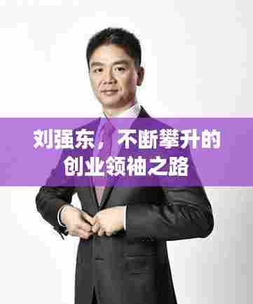 刘强东,不断攀升的创业领袖之路