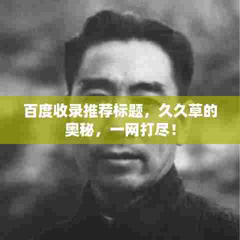 百度收录推荐标题,久久草的奥秘,一网打尽!