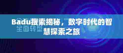 Badu搜索揭秘，数字时代的智慧探索之旅