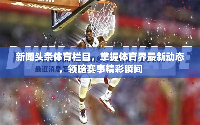 新闻头条体育栏目,掌握体育界最新动态,领略赛事精彩瞬间